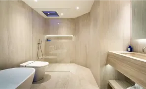 Luxurious bathroom