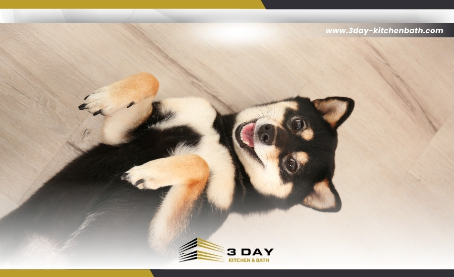The best dog-friendly flooring